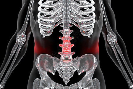 人体腰椎骨X光腰椎骨高清图片