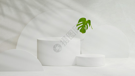 线条植物简约白色电商展台设计图片
