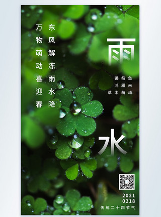 雨水传统节气海报清新雨水传统节气摄影图海报模板