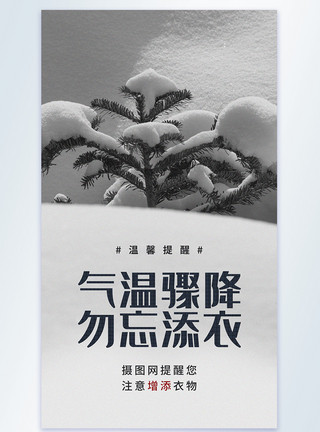 冷死了气温骤降勿忘添衣摄影图海报模板
