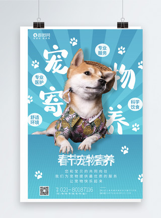 狗狗侧面春节宠物寄养团购海报模板