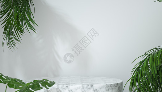 热带植物叶子白色几何立体电商背景设计图片