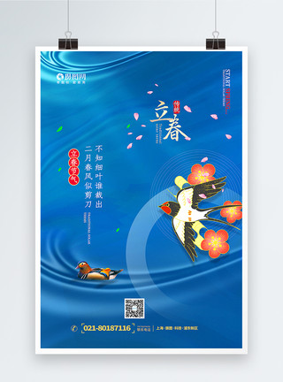 水里的鸭子蓝色唯美立春节气海报模板