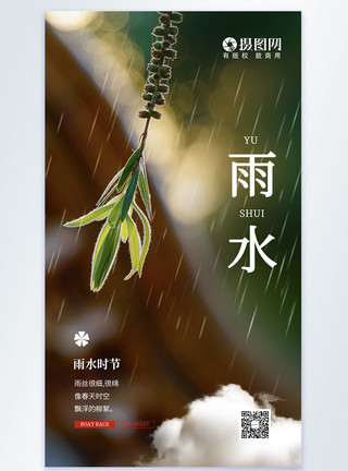 柳树设计清新简约文艺雨水节气摄影图海报模板