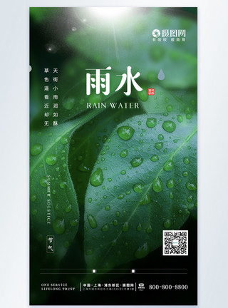 柳叶湖清新简约文艺雨水节气摄影图海报模板