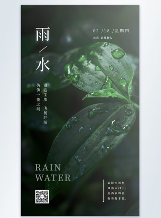 雨水传统节气海报清新简约文艺雨水节气摄影图海报模板