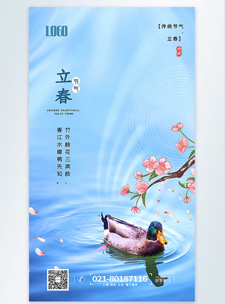 湖水鸭子立春节气摄影图海报模板