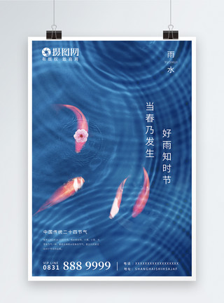 干锅鱼雨水海报设计模板