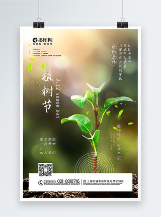 收获绿色植树节宣传海报模板