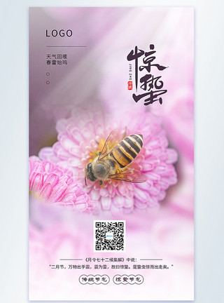 采蜜的小蜜蜂惊蛰节气摄影图海报模板