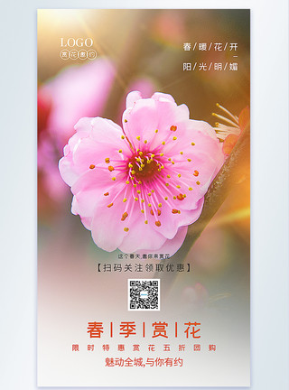 小樽公园春天春季赏花摄影图海报模板