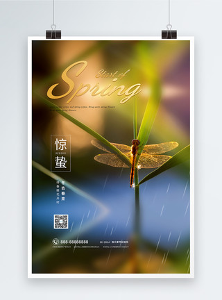 春天的蜻蜓清新简约文艺惊蛰节气海报模板