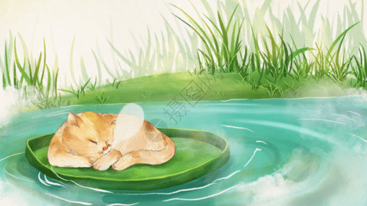 世界绿色小猫荷塘小憩GIF高清图片