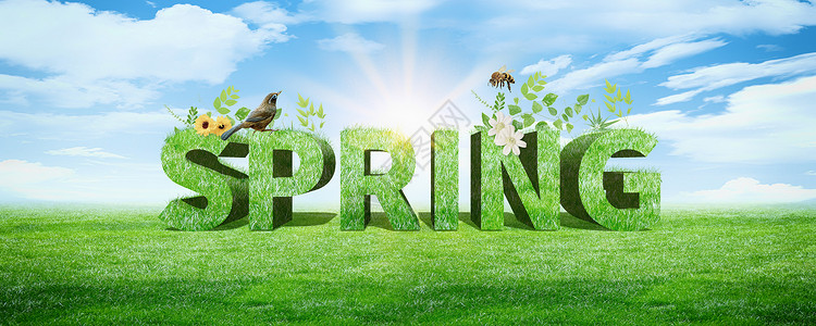 春季公园植物春天背景设计图片