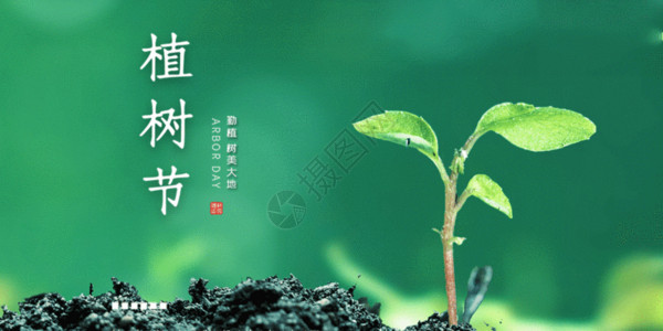 甜蜜约惠清新简约文艺植树节gif动图高清图片