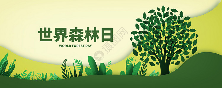 风景框世界森林日设计图片
