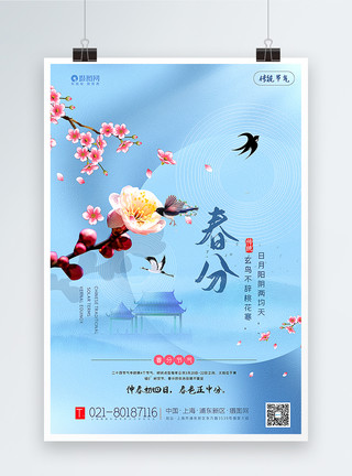 野生候鸟蓝色清新春分节气海报模板