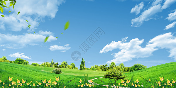 植物草地背景背景图片
