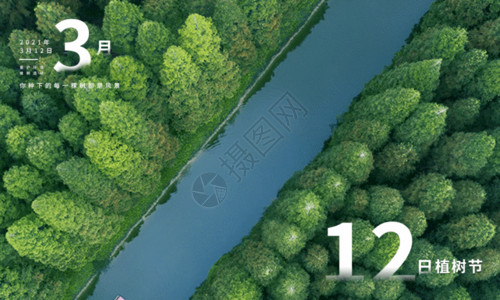 绿化设计简约312植树节gif高清图片