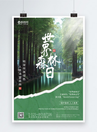 绿色树木边框绿色清新世界森林日海报模板