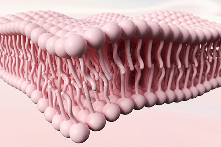 脂肪球C4D细胞膜概念背景设计图片