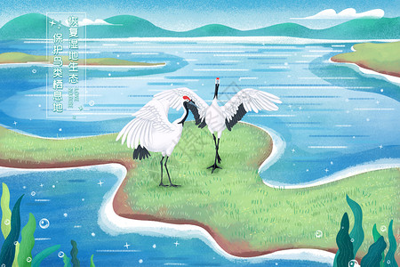 湖泊湿地恢复湿地生态保护鸟类栖息地插画