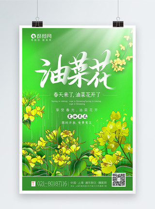 日本美丽花园绿色油菜花春季赏花宣传海报模板