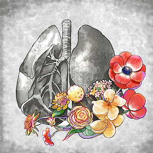 肺与花朵创意水彩插画图片