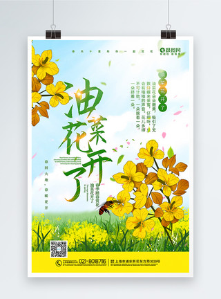 采蜜的小蜜蜂春季赏花赏油菜花宣传海报模板