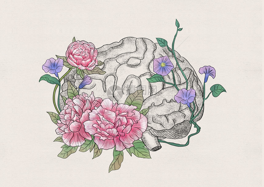 大脑和花卉器官插画图片
