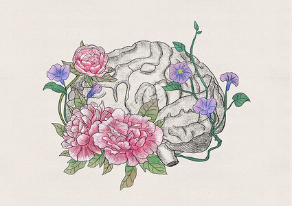 大脑和花卉器官插画背景图片
