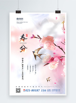 可爱鸟儿粉色清新春分节气海报模板