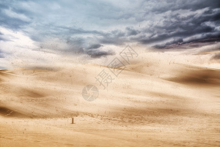 沙漠风沙沙尘暴设计图片