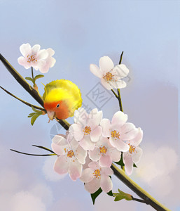水彩樱花站在樱花树上的鹦鹉gif动图高清图片