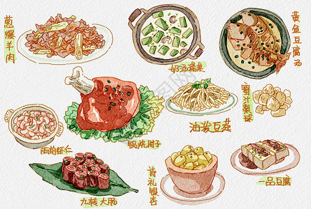 干饭人中国菜美食水彩画插画