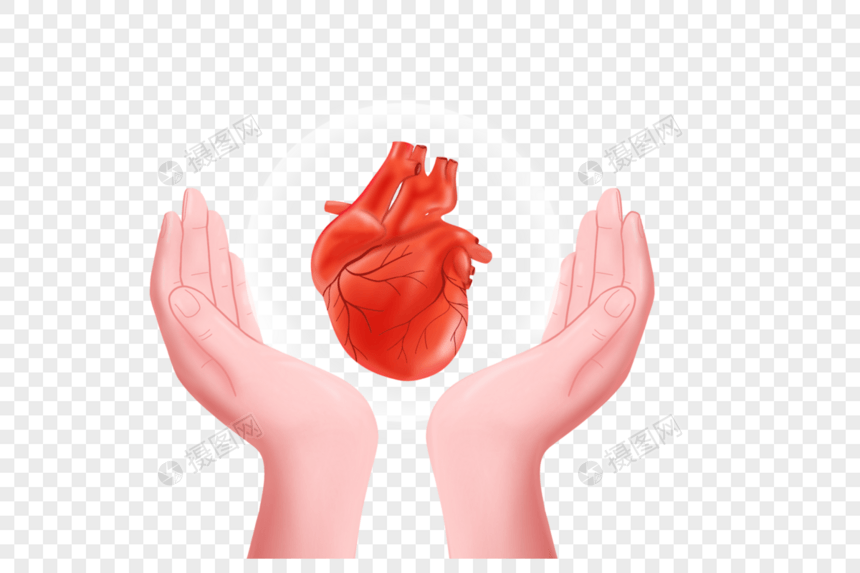 双手保护心脏图片