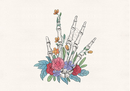 手骨和花卉器官插画背景图片