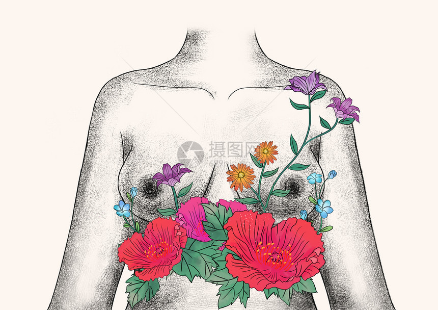 乳房和花卉器官插画图片