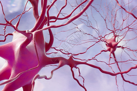 三维神经细胞背景图片