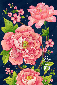 水滴背景海报谷雨时节牡丹盛开插画