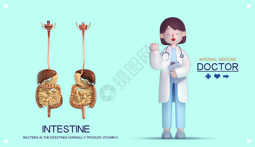 肠胃海报3D医疗健康海报插画