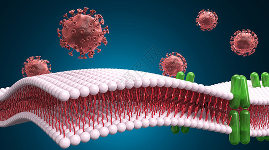 3D病毒感染背景图片