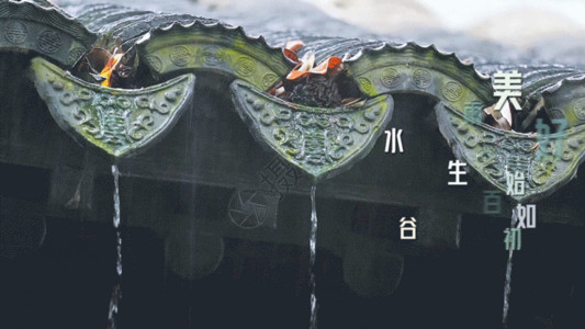 水滴片头素材唯美谷雨节日实拍GIF高清图片