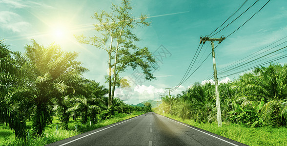 热带公路公路背景设计图片