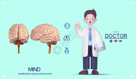 锦缎人偶3D医疗健康大脑海报gif动图高清图片