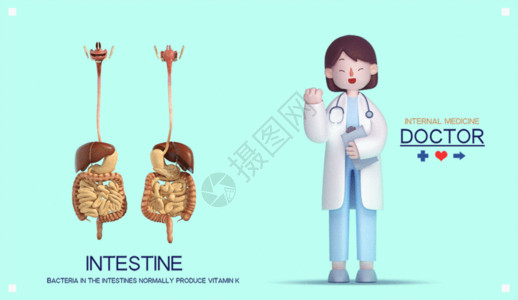 人体八大系统图手绘3D医疗健康海报gif动图高清图片