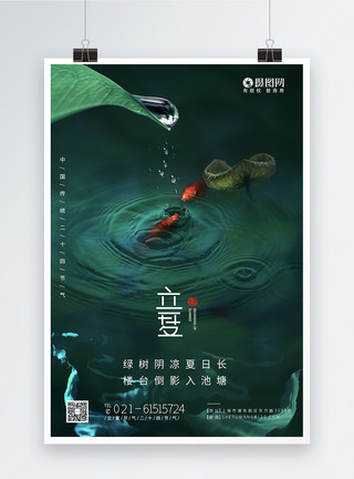 红鲤鱼与绿鲤鱼意境风立夏节气二十四节气海报模板