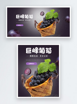 美味黑葡萄水果葡萄提子电商banner模板