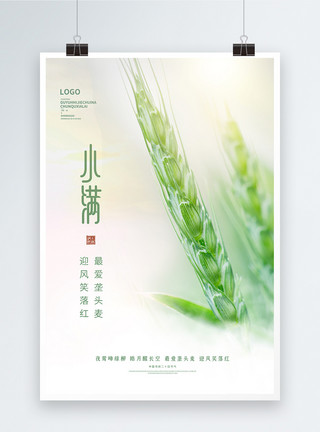 蓝绿色意境小满节气意境中国风宣传海报模板