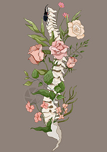 花卉器官骨骼脊椎之花背景图片